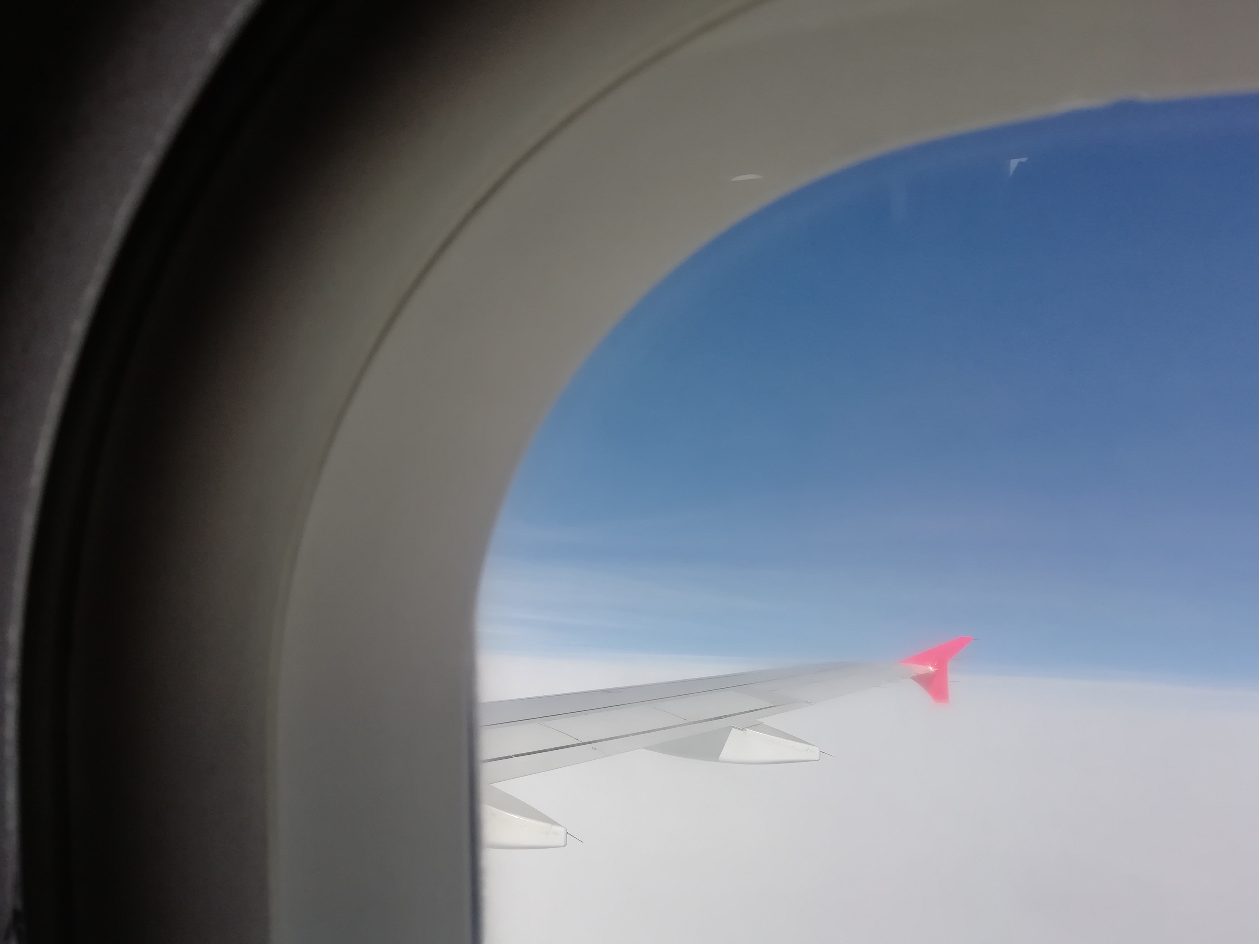 view of plane wing from cabin window