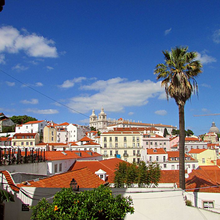 panorama, city, plamtree, losbon, portugač