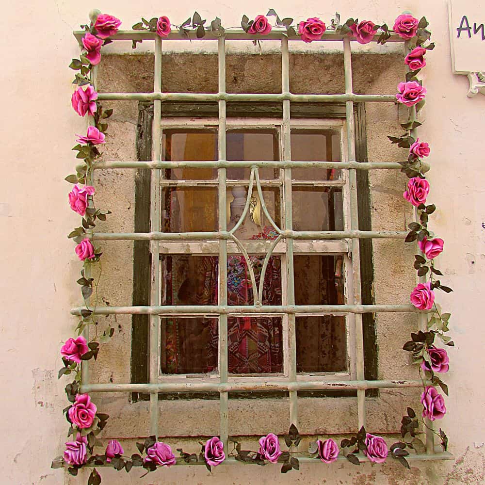 window with pink roses in Obidos, portugal