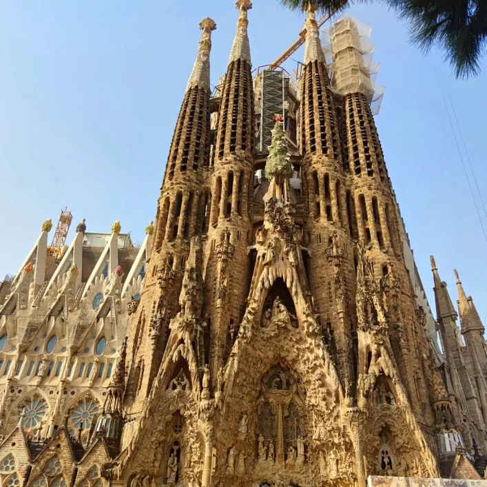 sagrada familia cathedral, gaudi, barcelona
