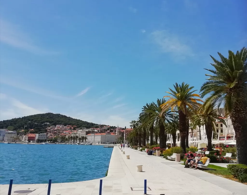 seafront, palms, hill, split, croatia