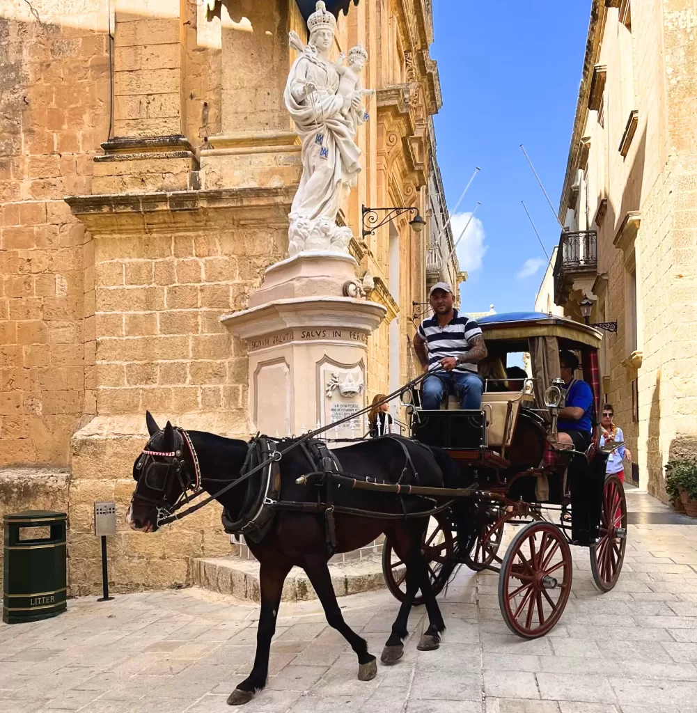 carriage, black horse, mdina, malta